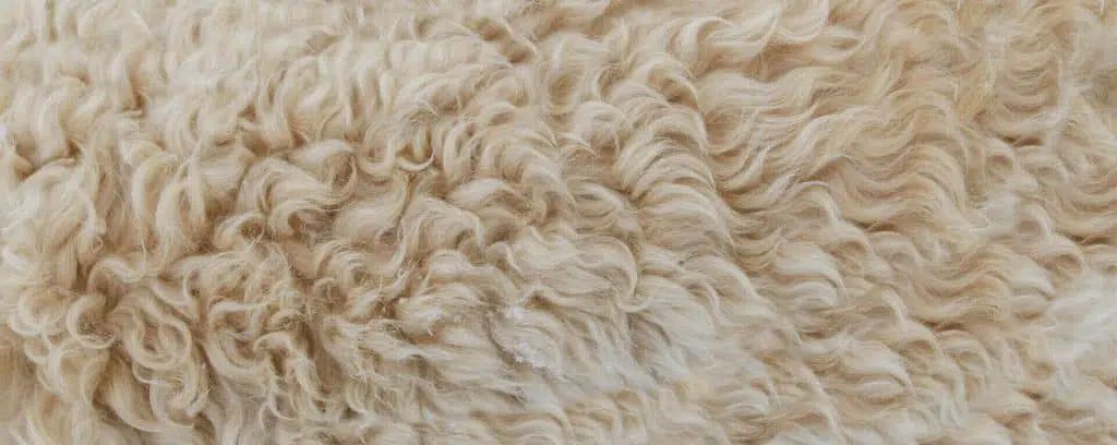 Odzież damska premium